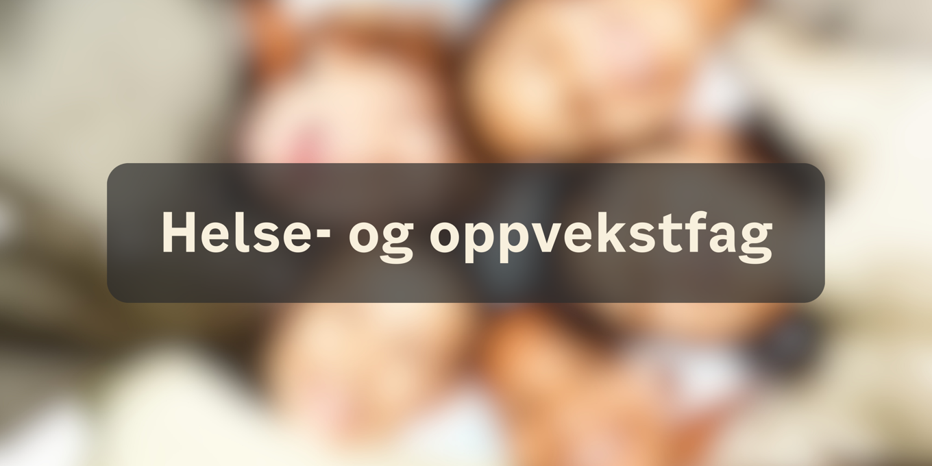 Grafisk brukergrensesnitt Grafisk brukergrensesnitt