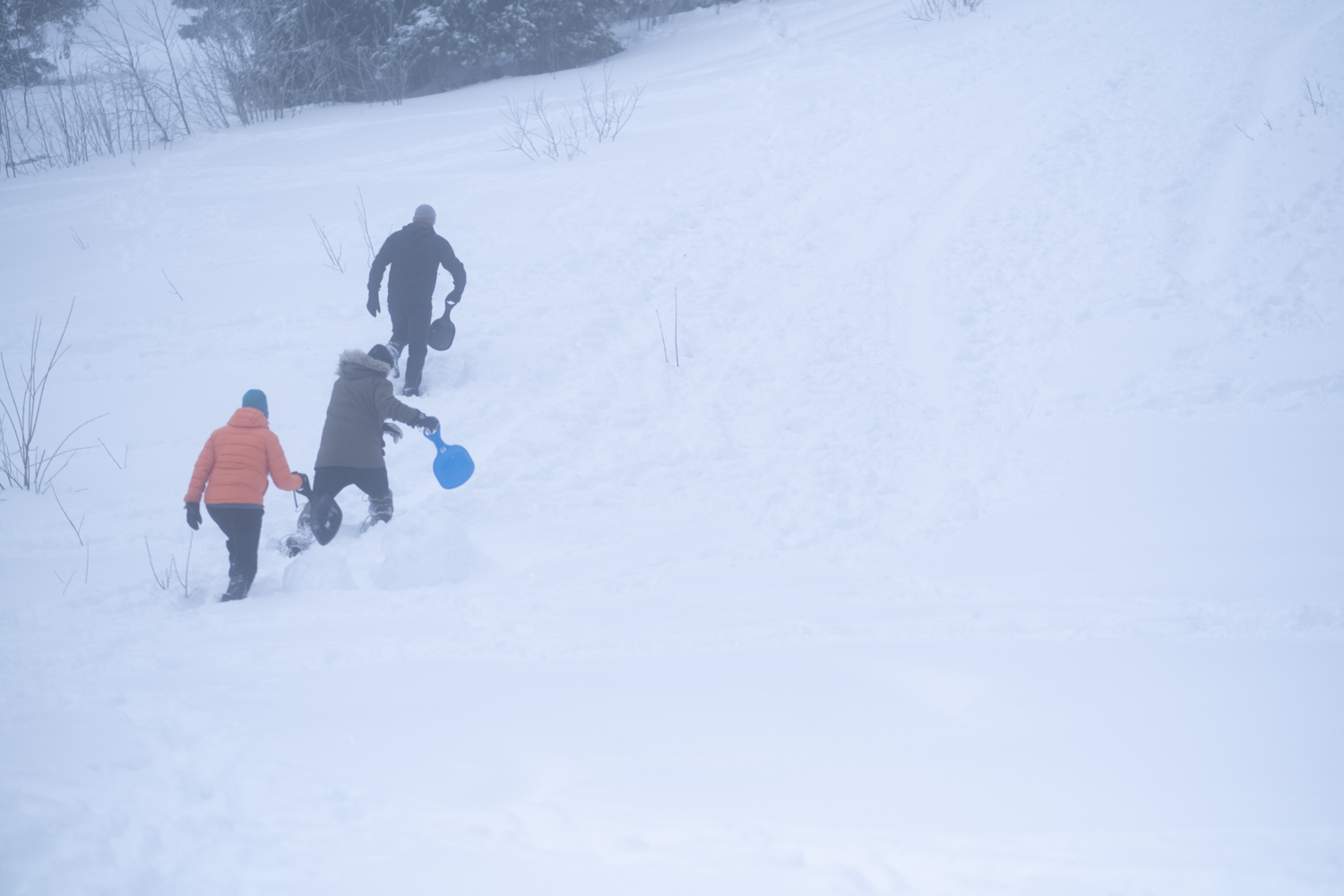vinterdag9.jpg
