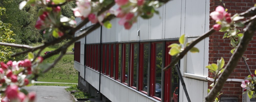 Bilde av skolen Bilde av skolen