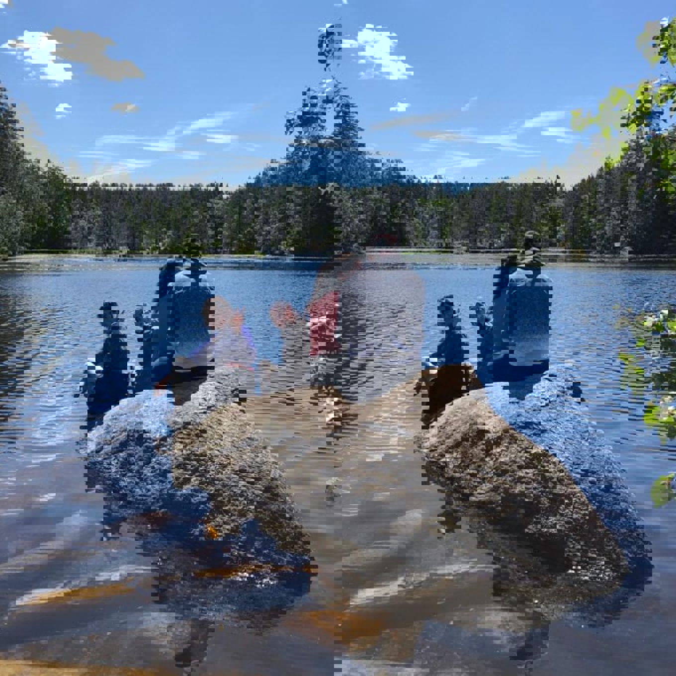 Elever sitter på stein i vann Elever sitter på stein i vann