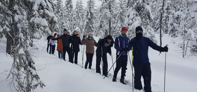 Elever på ski